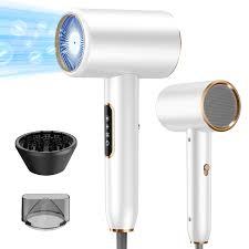 Secador de Pelo Iónico Profesional 2200W