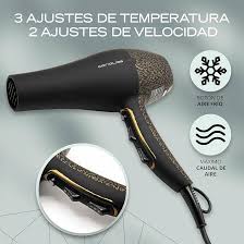 Secador Profesional Corioliss FLOW 2200W