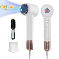 MAXGROOM Secador de Pelo de Alta Velocidad 110000 RPM
